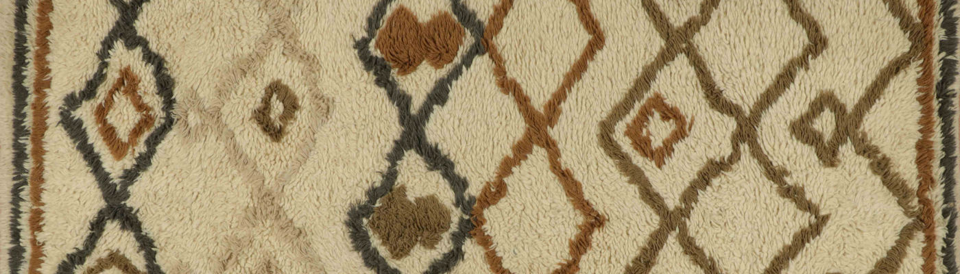 Area and Scatter Rugs 5